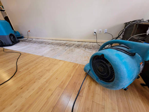 Professional Basement Flood Cleanup technician working in The Plains, OH